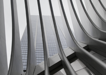 قبول المختلف